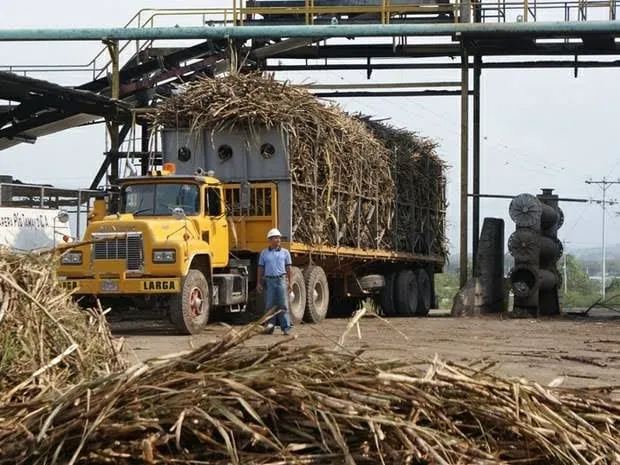 Camión cargado de caña de azúcar en un central