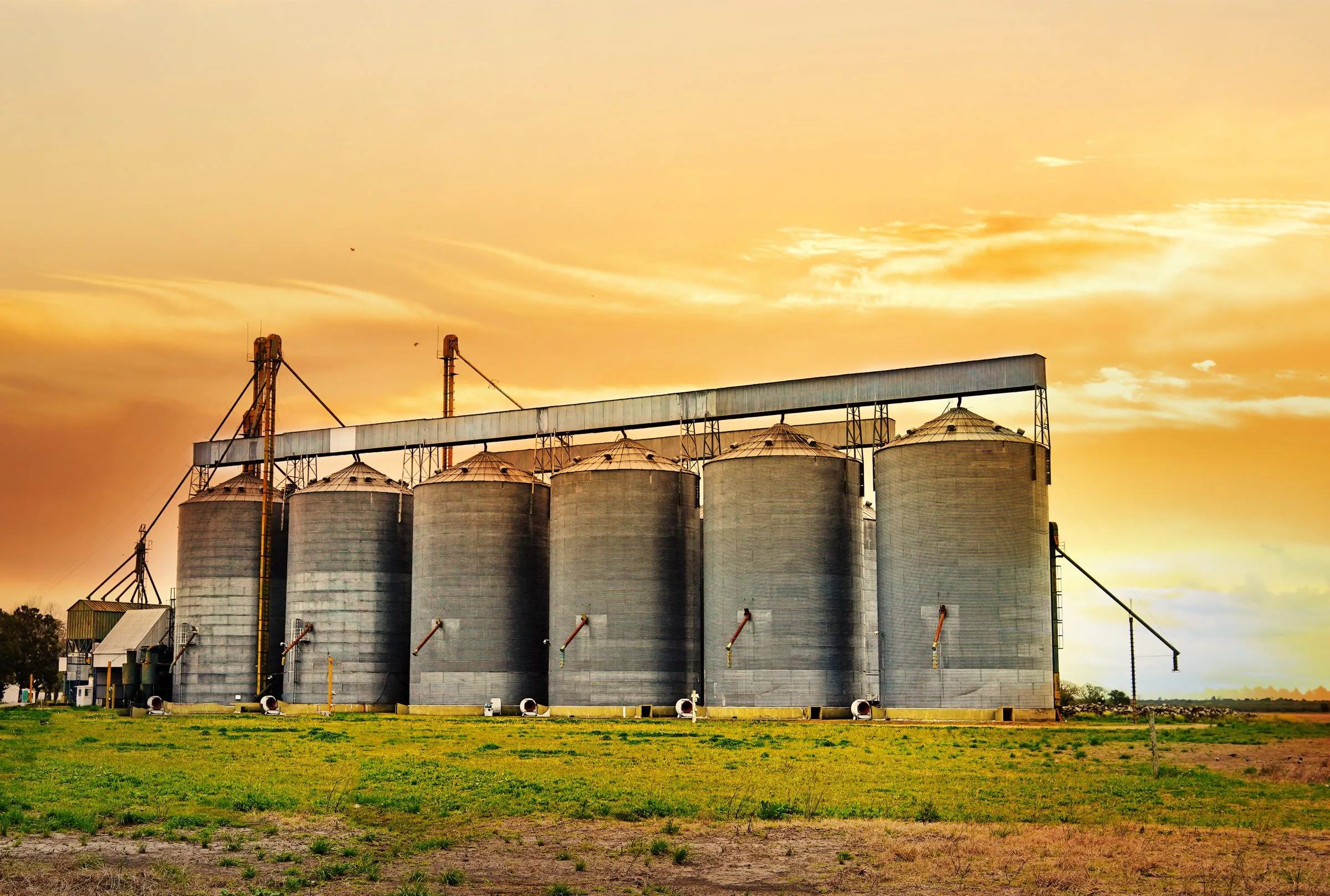 Silos de almacenamiento de grano al atardecer