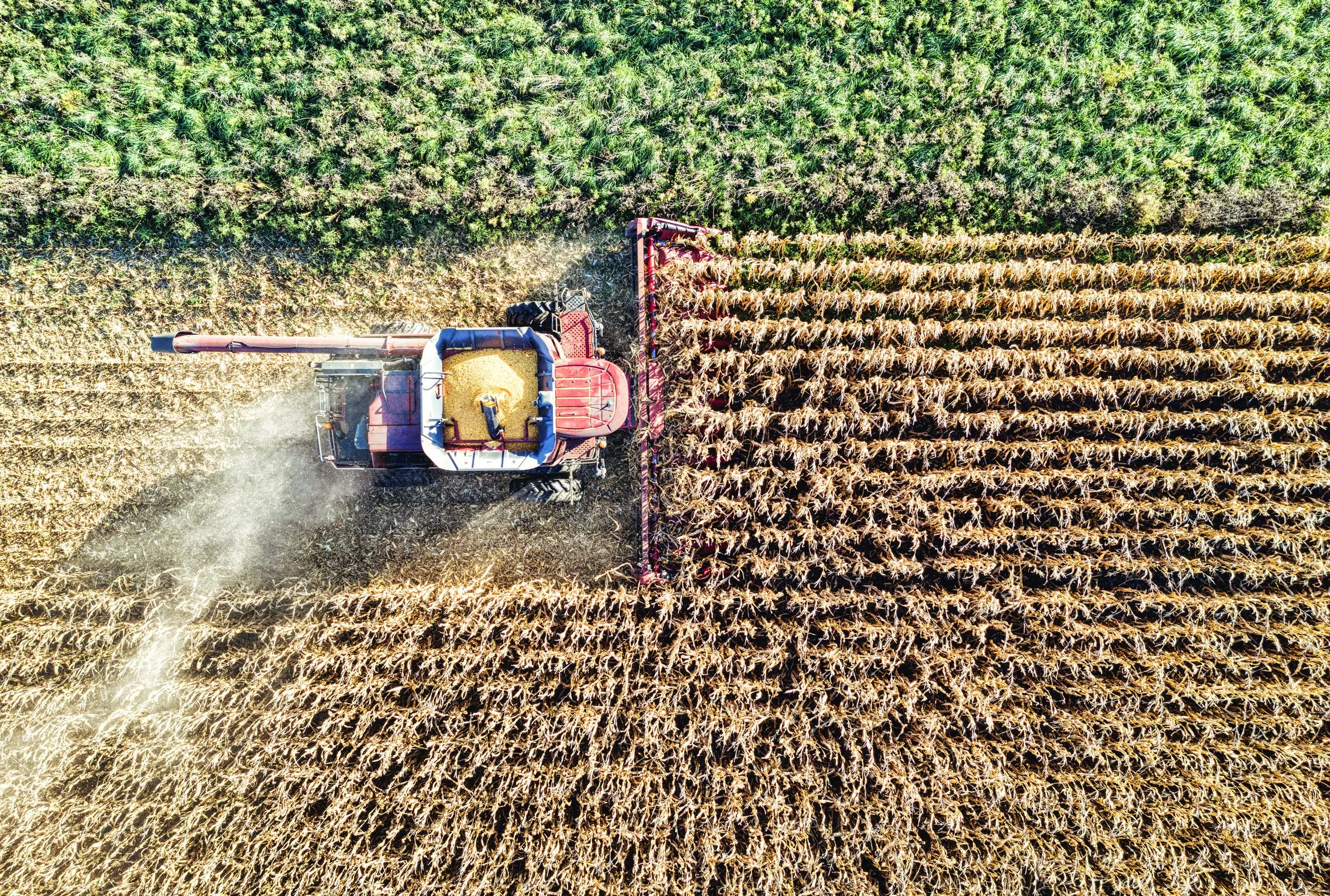 Vista aérea de una cosechadora trabajando sobre surcos de cultivo